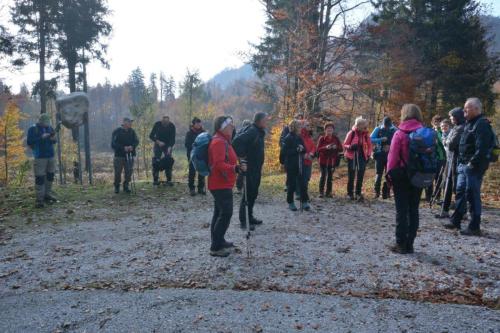 02-DSL 7734 00001-Rajko-Gnezda-2