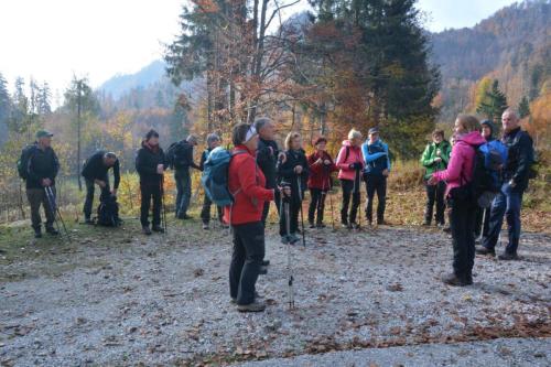 03-DSL 7734 00001-Rajko-Gnezda-3