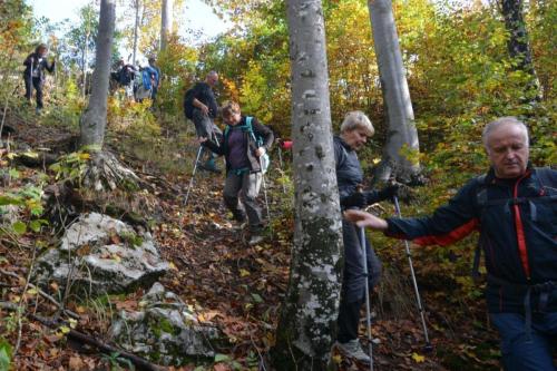 08-DSL 7734 00001-Rajko-Gnezda-8