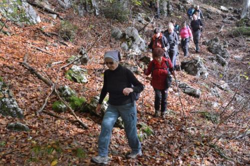 09-DSL 7734 00001-Rajko-Gnezda-9