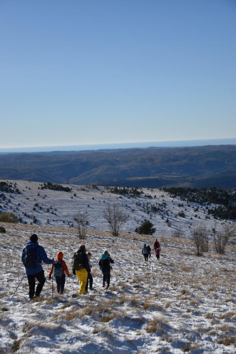 2024-11-23 kojnik 10