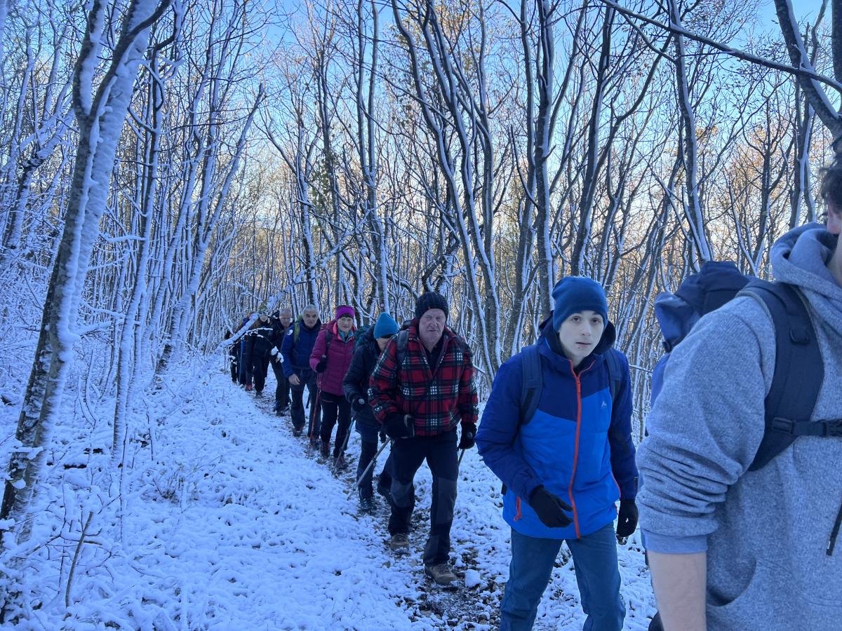 2024-11-23 kojnik 11