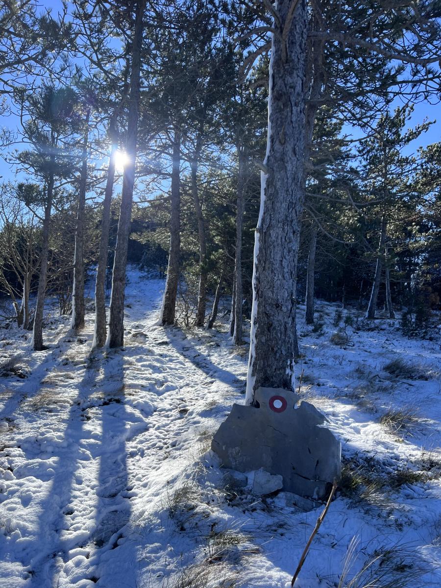 2024-11-23 kojnik 12