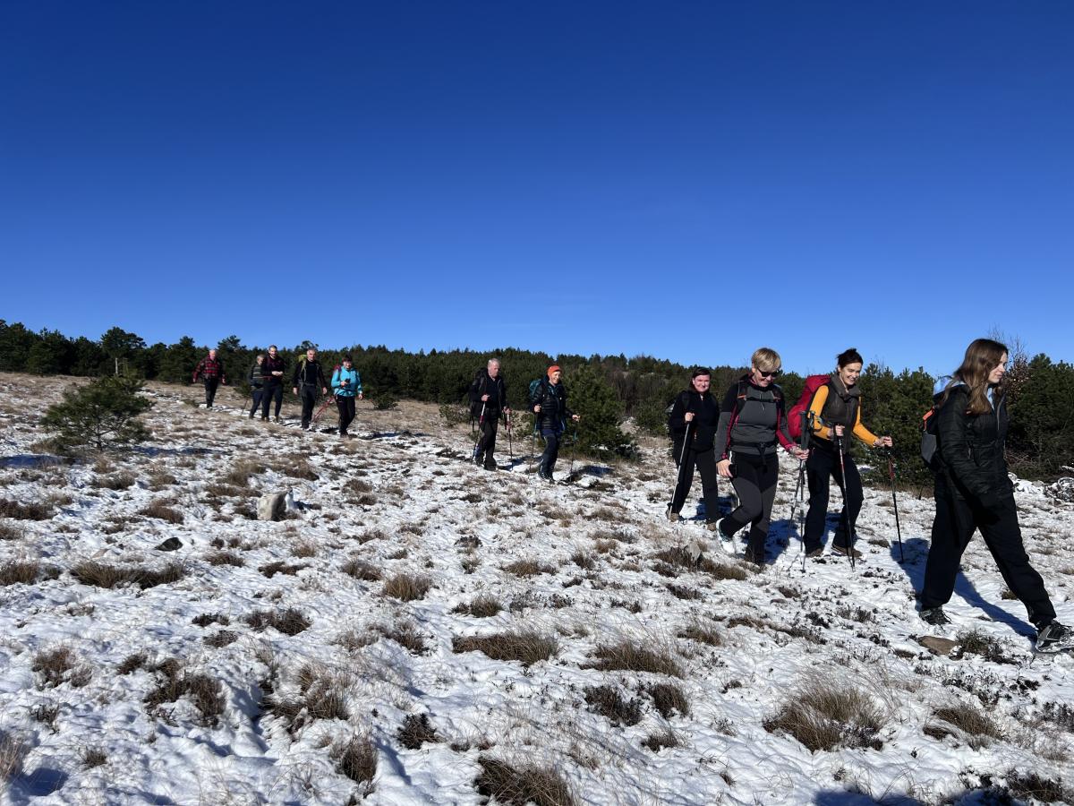 2024-11-23 kojnik 15