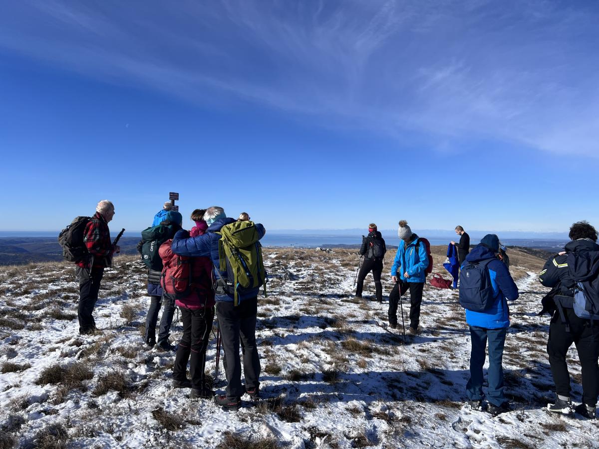 2024-11-23 kojnik 17