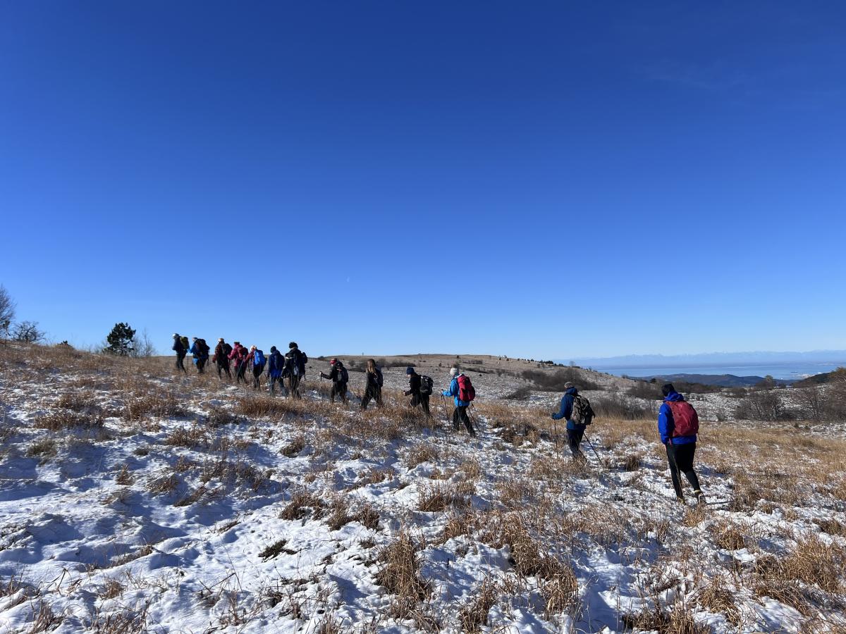 2024-11-23 kojnik 18