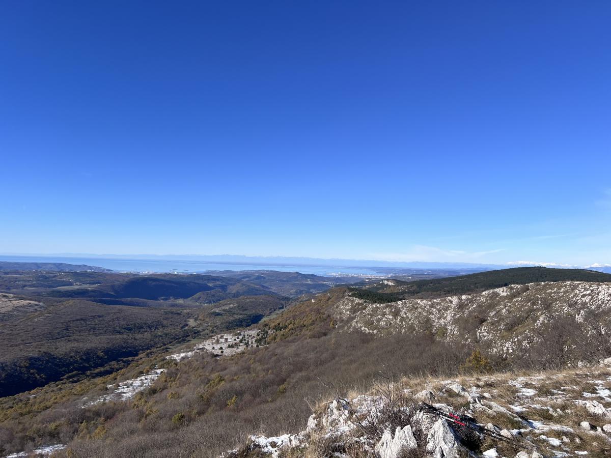 2024-11-23 kojnik 19