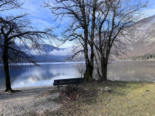 2025-01-25-MO-Bohinjsko-bazen-13