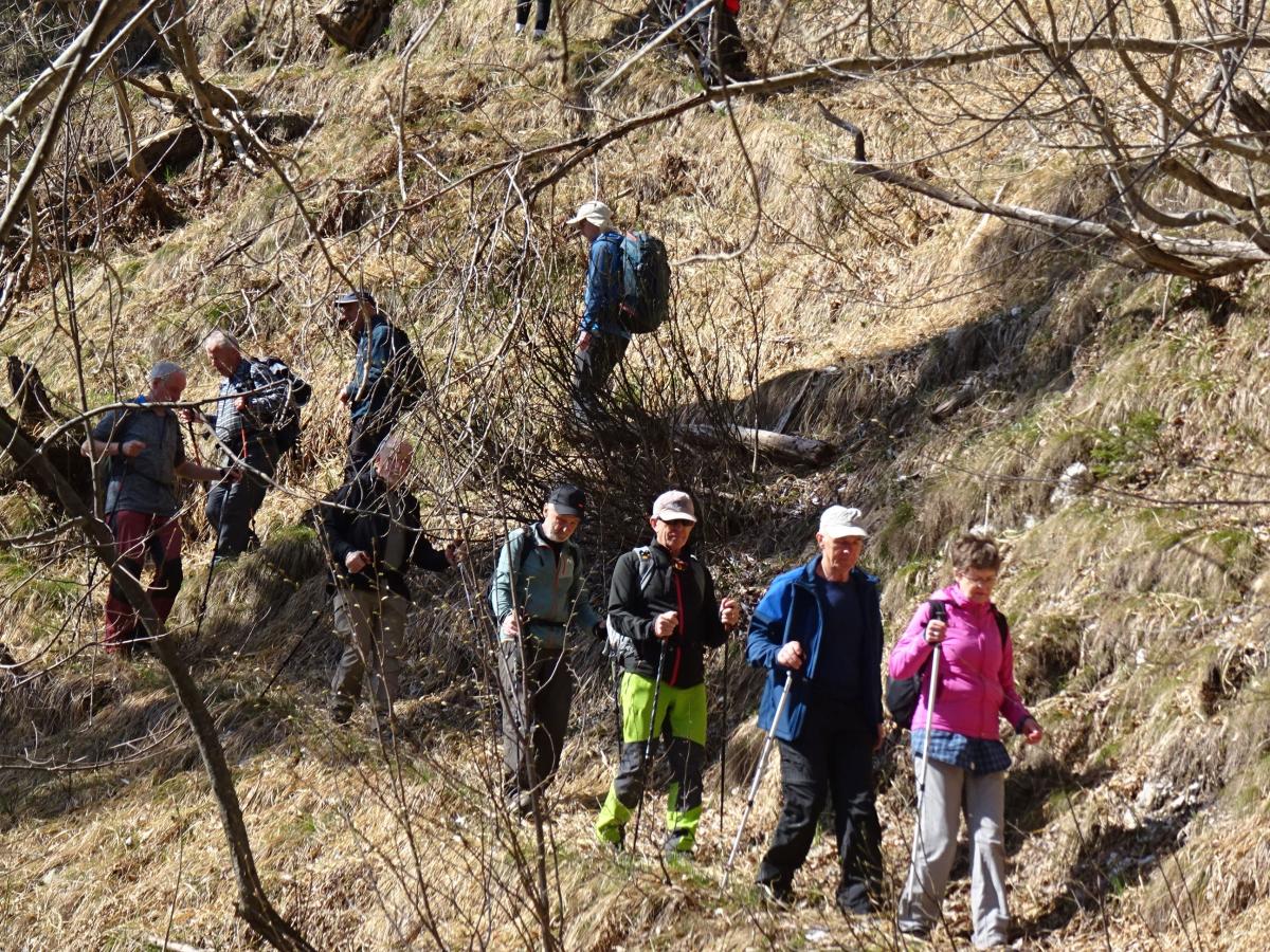 2025-04-12 Hudo-Polje Lajst sk1 00009
