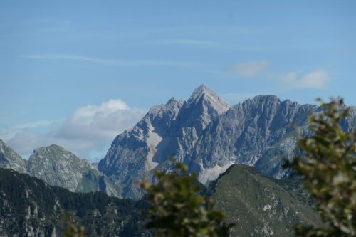 2025-08-04 Javorscek 00006