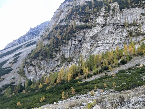 2025-10-10 Greben Ljubeljscice 00001