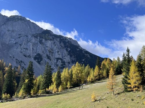 2025-10-10 Greben Ljubeljscice 00006