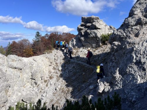 2025-10-10 Greben Ljubeljscice 00014