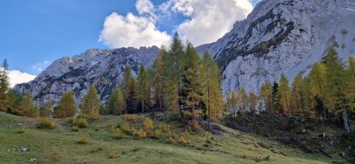 2025-10-18 MO Zelenica 00001