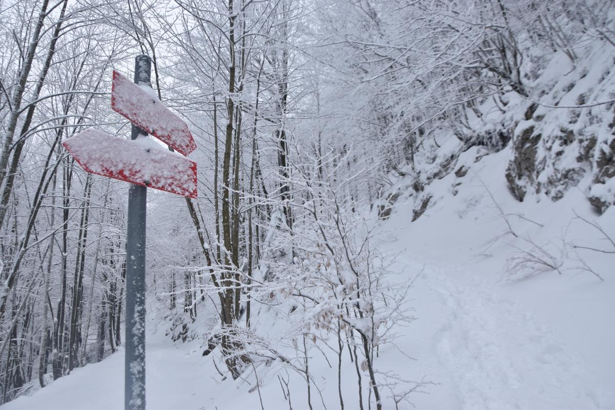 2025 02 15 MO Javornik 04