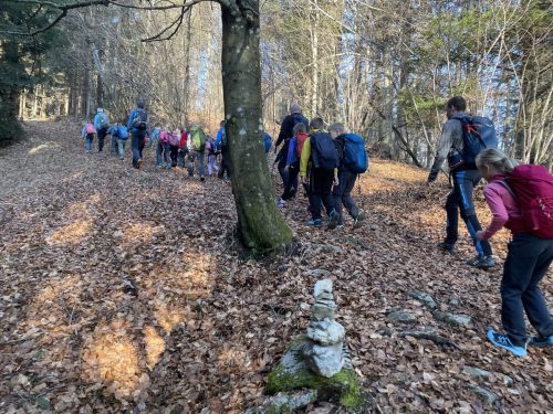 2026-02-MO Sivka Mrzli vrh 00001