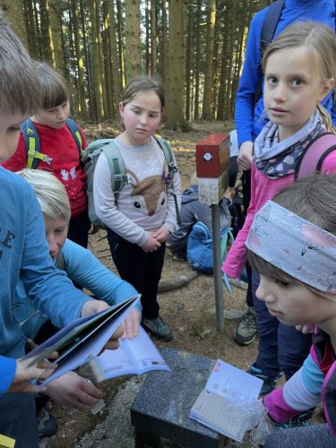 2026-02-MO Sivka Mrzli vrh 00006