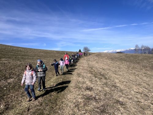 2026-02-MO Sivka Mrzli vrh 00013