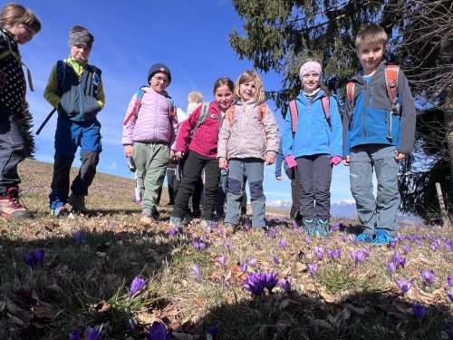 2026-02-MO Sivka Mrzli vrh 00014