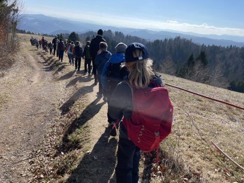 2026-02-MO Sivka Mrzli vrh 00015