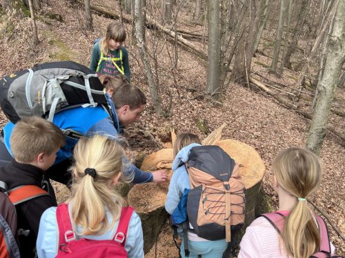 2026-03-14 Smohor bazen 00003