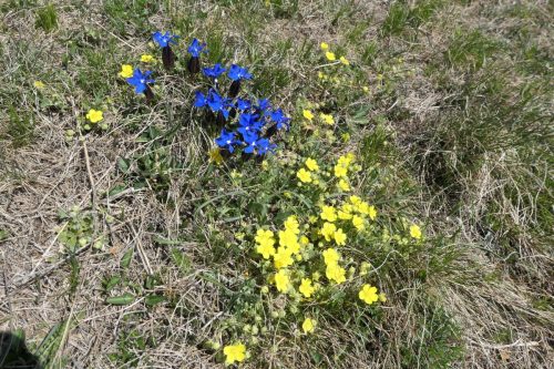 2026-04-06 skupni pohod Podkraj 00007