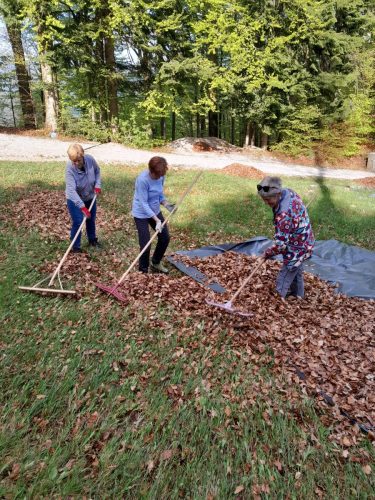 2026-04-17 Cistilna Hlevise 00002