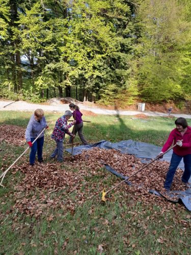 2026-04-17 Cistilna Hlevise 00003