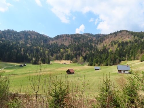 2026-04-18 Hotunjski vrh 00006