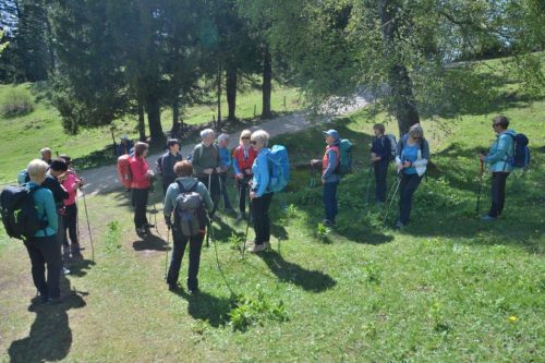 2026-05-09 Velika planina 00002