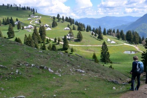 2026-05-09 Velika planina 00004