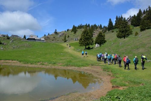 2026-05-09 Velika planina 00005