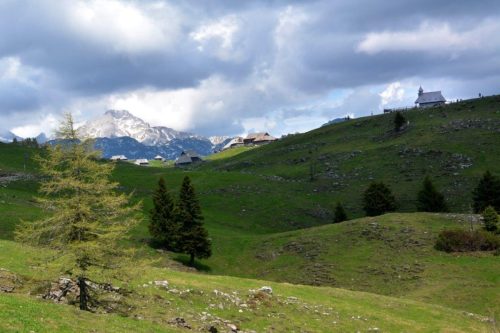 2026-05-09 Velika planina 00007