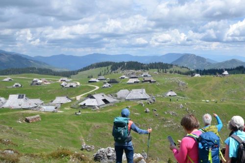 2026-05-09 Velika planina 00009