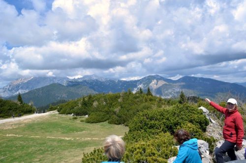 2026-05-09 Velika planina 00010