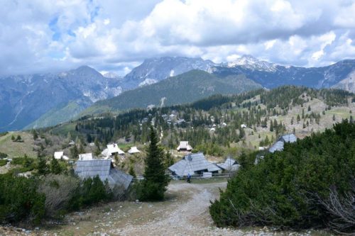 2026-05-09 Velika planina 00012