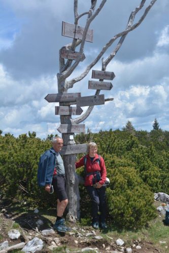 2026-05-09 Velika planina 00014