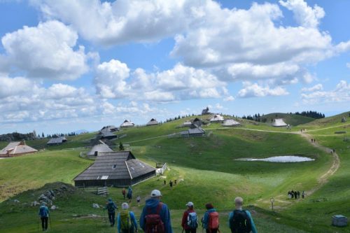 2026-05-09 Velika planina 00016