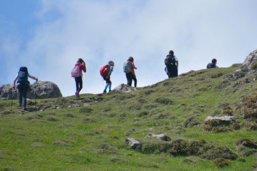 2026-05-09 Velika planina 00017