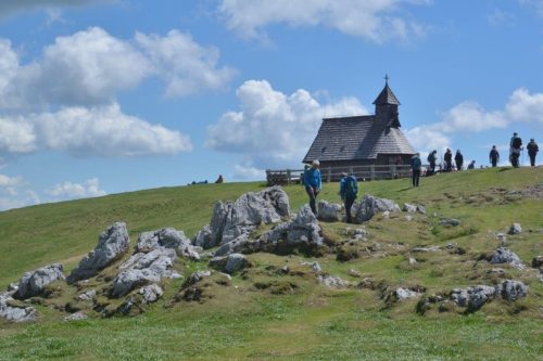 2026-05-09 Velika planina 00018