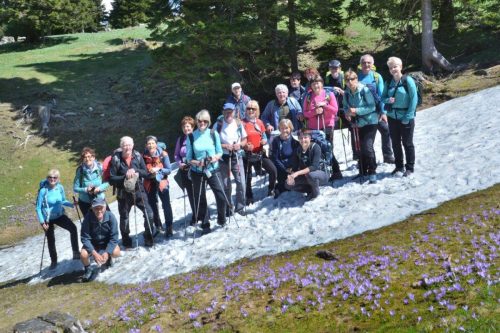 2026-05-09 Velika planina 00020
