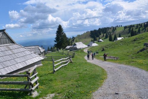 2026-05-09 Velika planina 00022