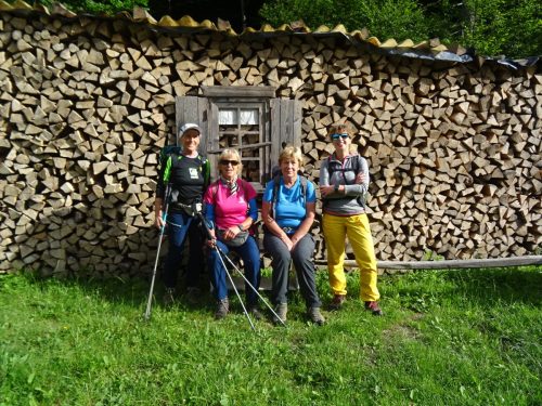 2026-06-13 Soteska Pekel in Borovnica 00005