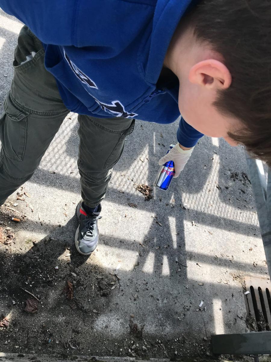 IMG 3623