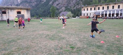 tabor-8